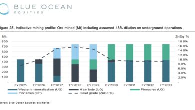 Growth options abound as broker slaps buy label on zinc producer Broken Hill Mines