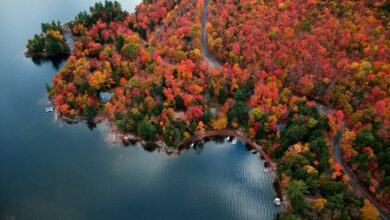Finovate Global: Workforce Management and Capacity Planning with Cinareo Solutions’ Karen Elliott Finovate Global: Workforce Management and Capacity Planning with Cinareo Solutions’ Karen Elliott